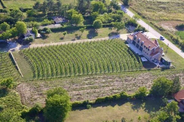Vinarija 4 praseta
